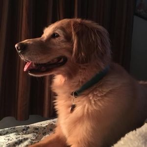 Meet your Posher, Tabatha